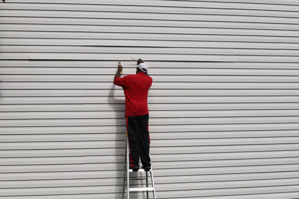 Best Fascia and Soffit Installation  in Blountsville, AL