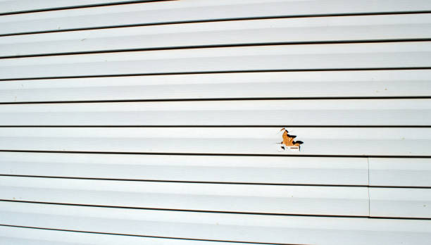 Best James Hardie Siding  in Blountsville, AL