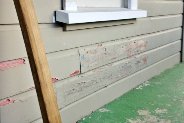 Best Engineered Wood Siding  in Blountsville, AL