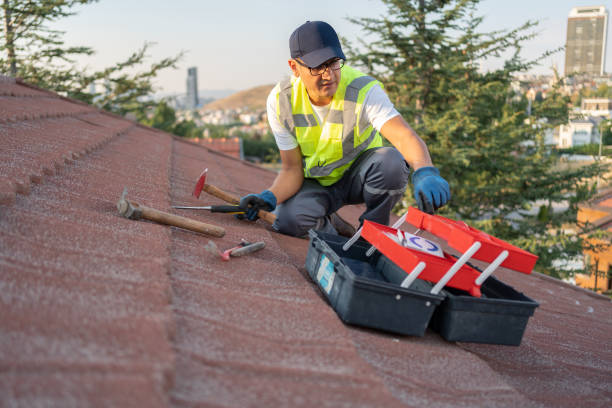 Best Stucco Siding  in Blountsville, AL